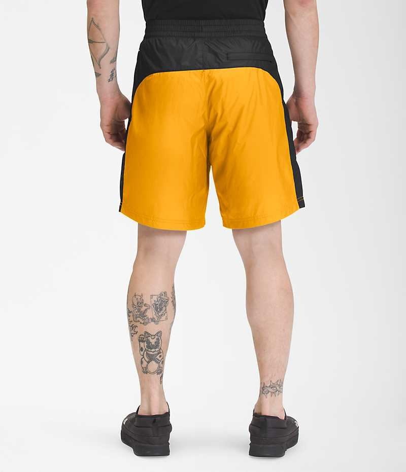 Short The North Face Hydrenaline 2000 Homme Doré Noir | FR TCJZX