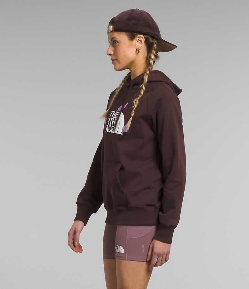 Sweat a Capuche The North Face Brand Proud Femme Marron | PARIS BOHKI