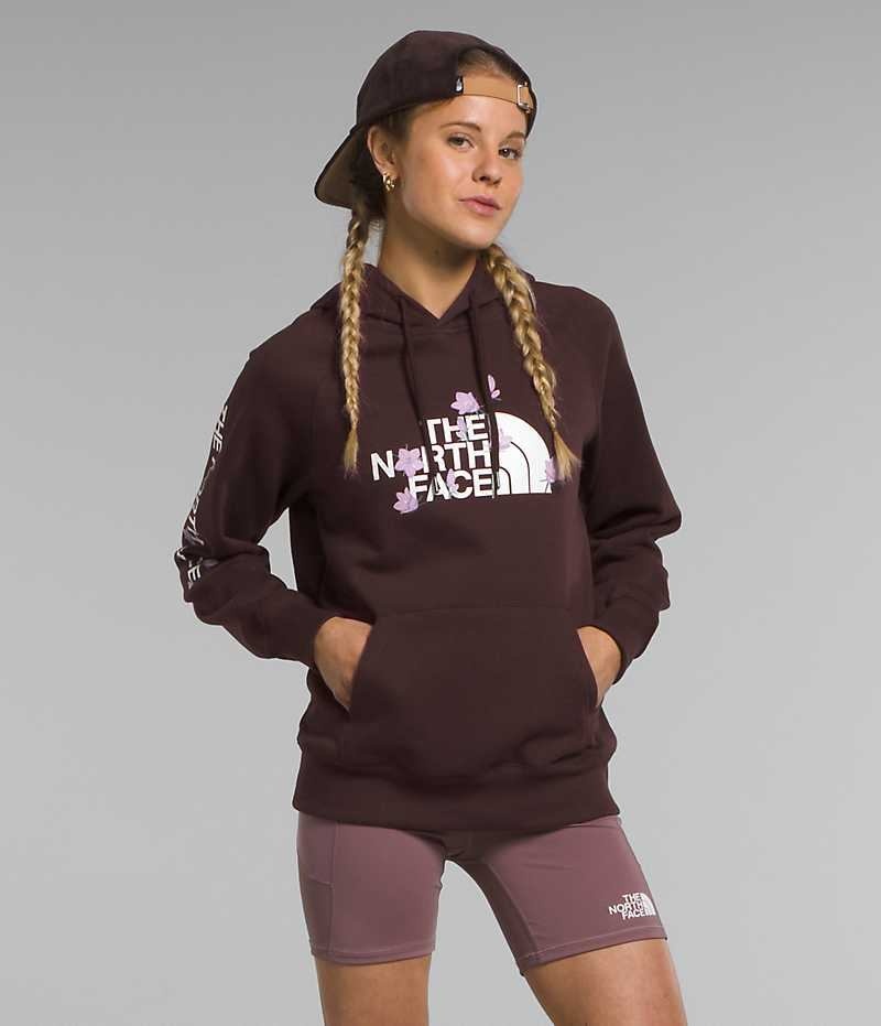 Sweat a Capuche The North Face Brand Proud Femme Marron | PARIS BOHKI