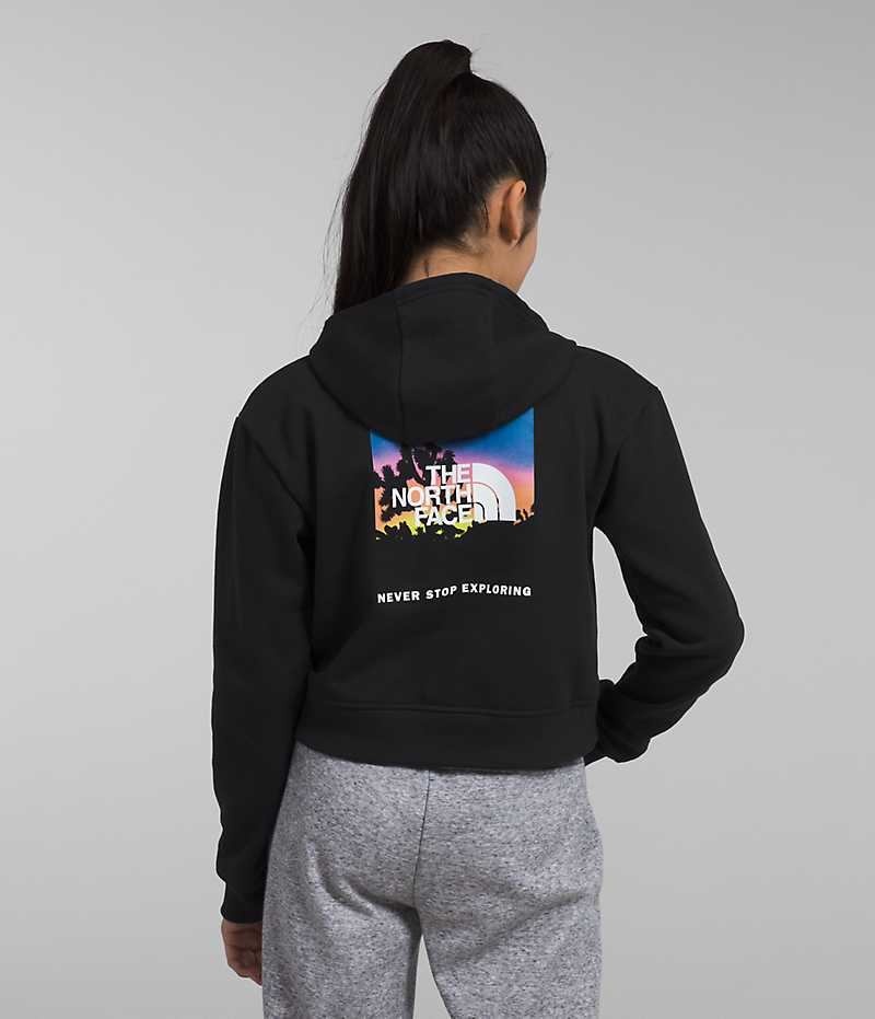 Sweat a Capuche The North Face Camp Fleece Pullover Fille Noir | FR HCZGQ