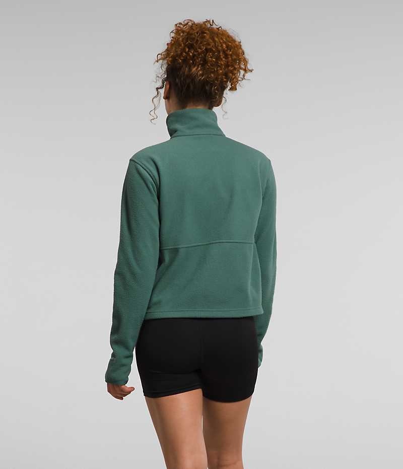 Sweatshirt The North Face Alpine Polartec® 100 ¼-Zip Cowl Femme Vert | PARIS RLZFV