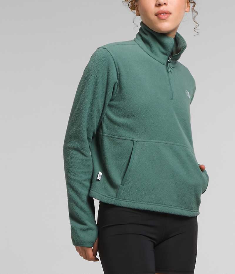 Sweatshirt The North Face Alpine Polartec® 100 ¼-Zip Cowl Femme Vert | PARIS RLZFV