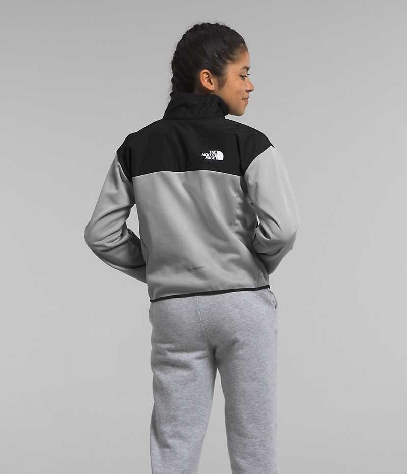 Sweatshirt The North Face D'hiver Warm ½-Zip Fille Grise | FR NPQRO