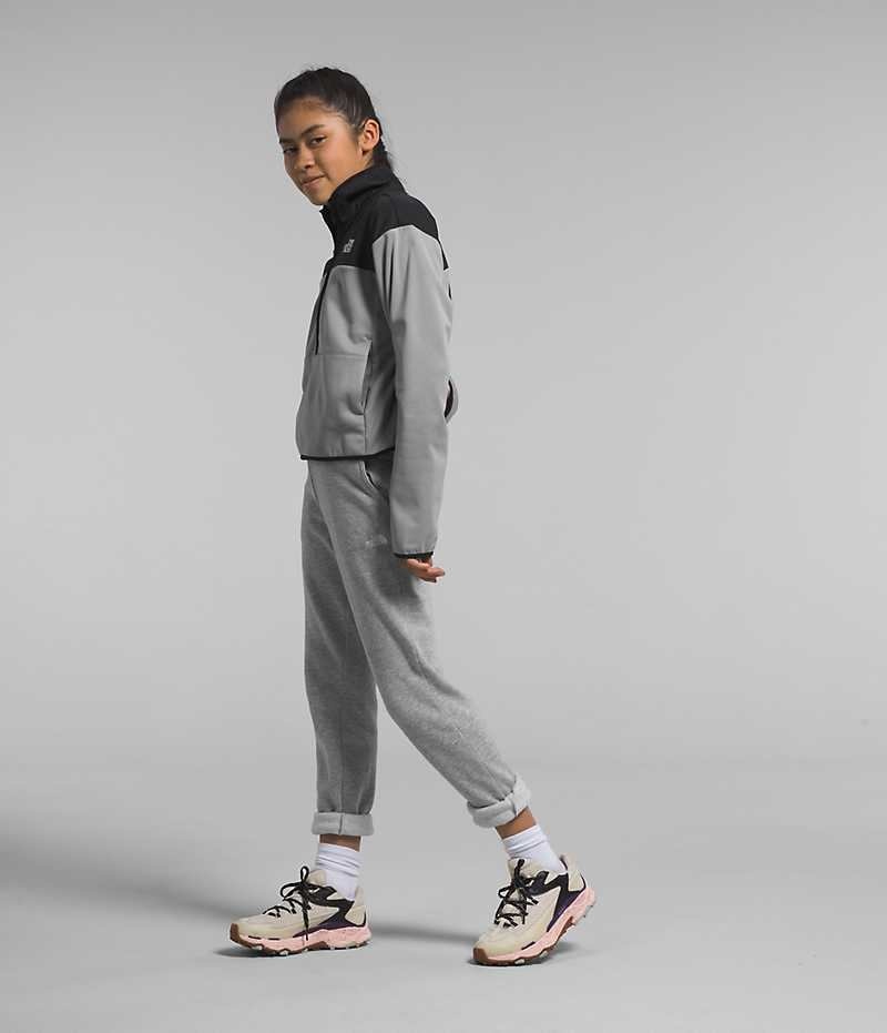 Sweatshirt The North Face D'hiver Warm ½-Zip Fille Grise | FR NPQRO