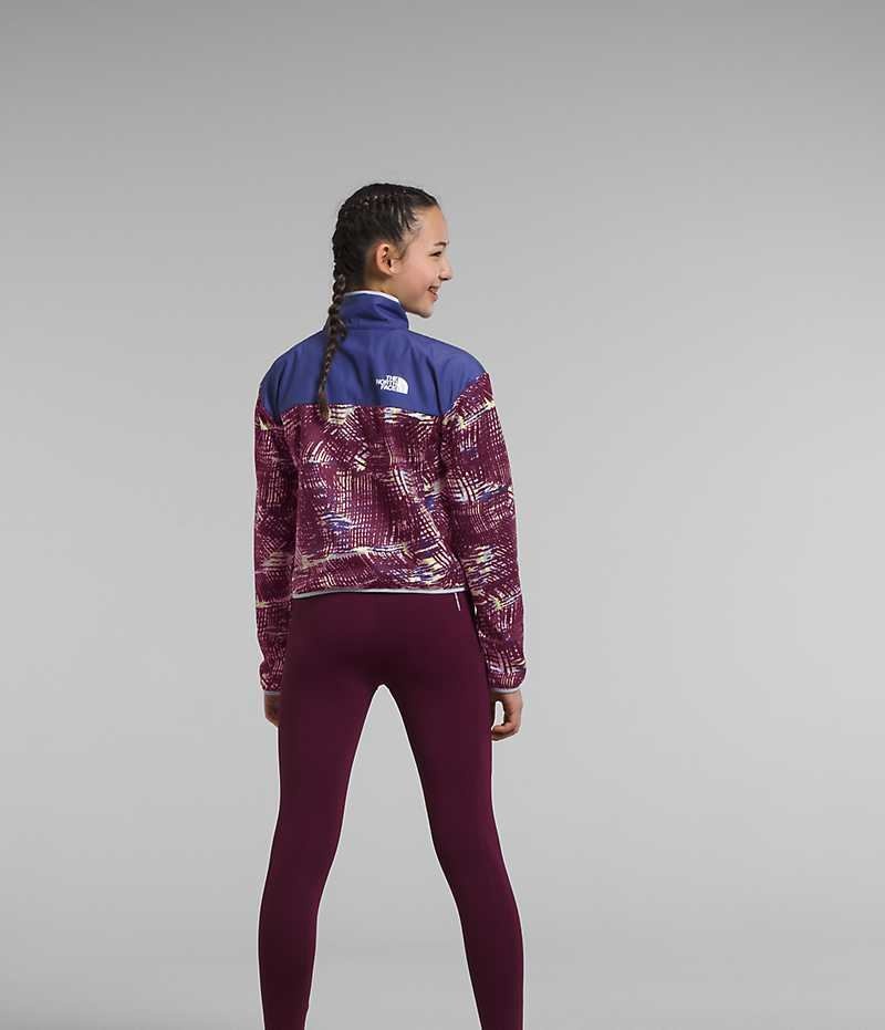 Sweatshirt The North Face D'hiver Warm ½-Zip Fille Multicolore | FRANCE AEKBH