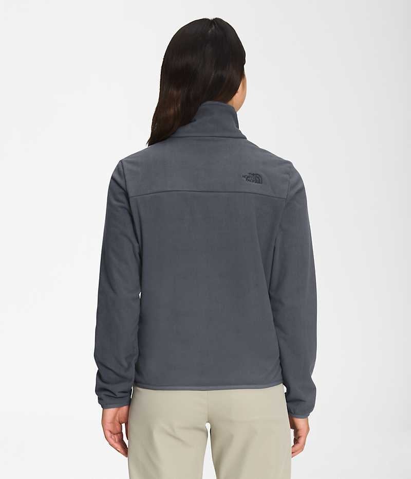 Sweatshirt The North Face Polar Osito ¼-Zip Femme Grise | FRANCE OTBMZ