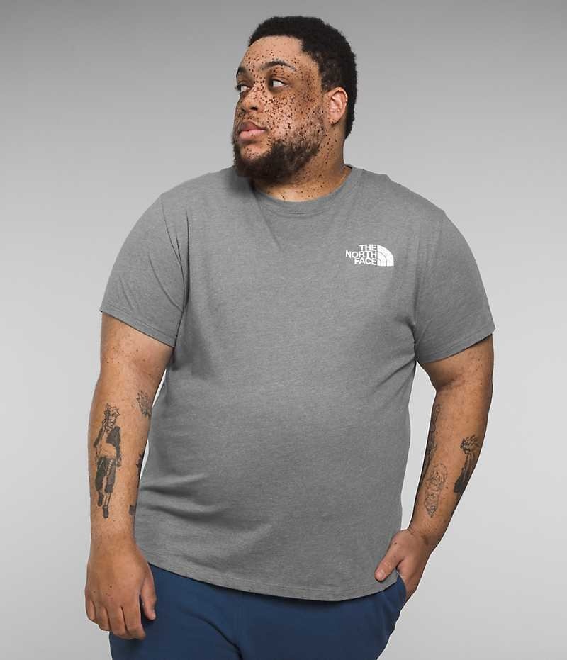 T-Shirt The North Face Big Corta Sleeve Box NSE Homme Grise | PARIS NAKGZ