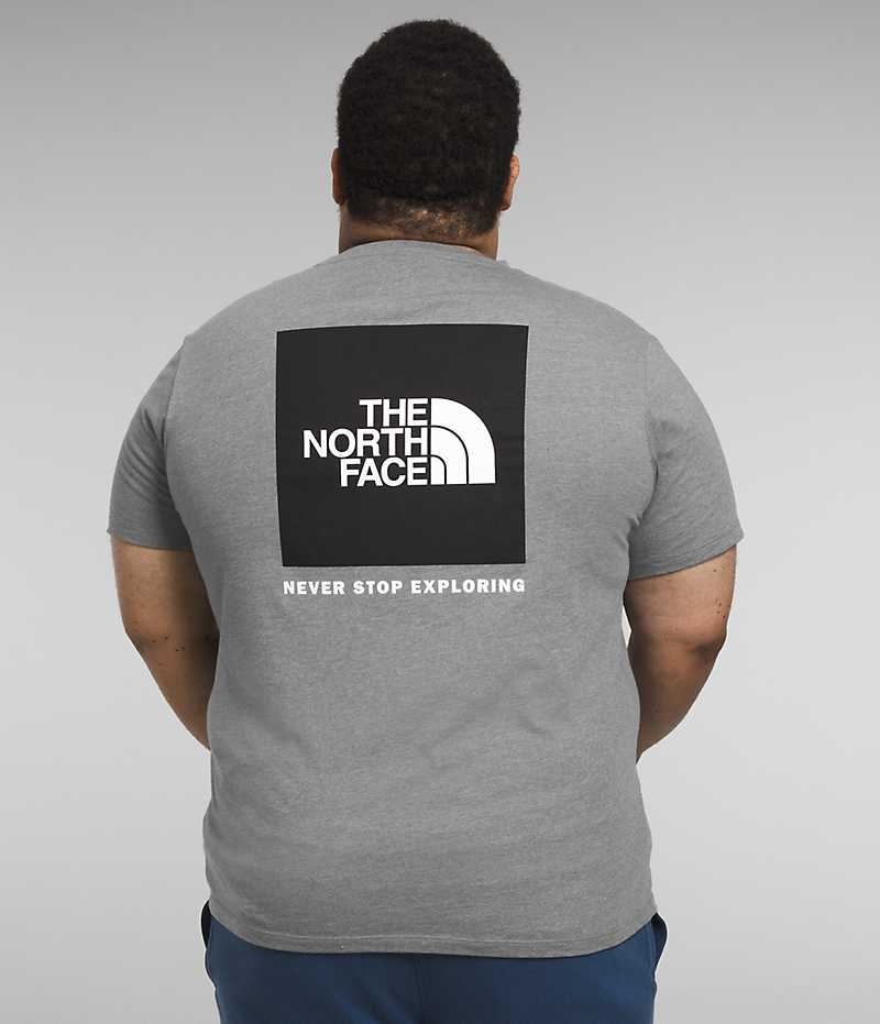 T-Shirt The North Face Big Corta Sleeve Box NSE Homme Grise | PARIS NAKGZ