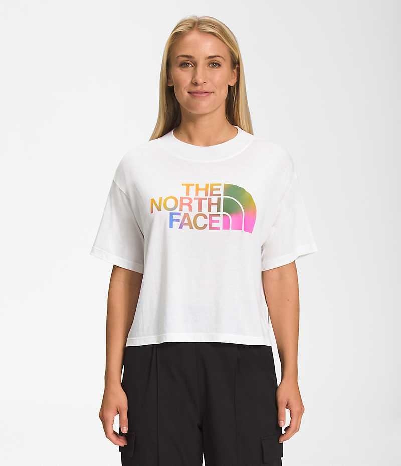 T-Shirt The North Face Corta Sleeve Half Dome Crop Femme Blanche | FR QPDWX