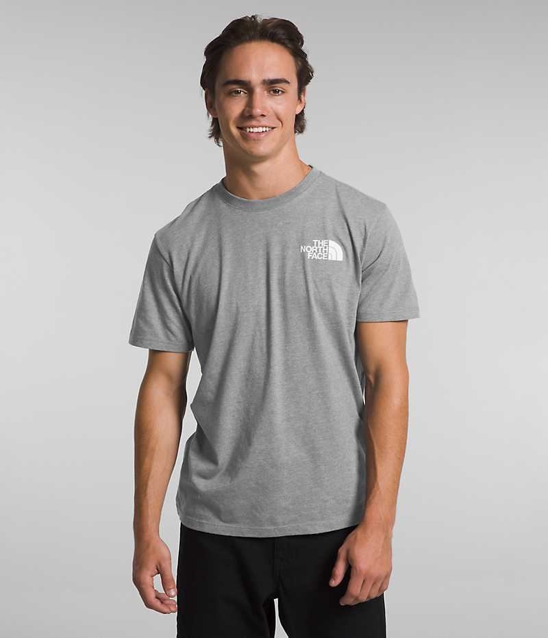 T-Shirt The North Face Corta Sleeve Solo Homme Grise | FRANCE UKWZE