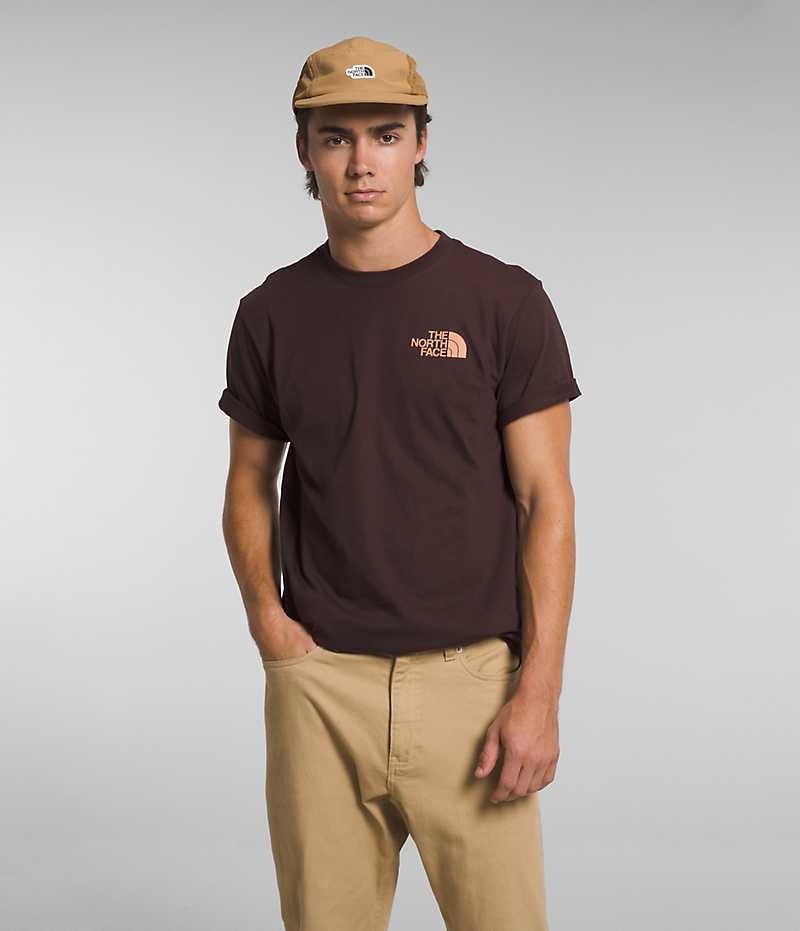 T-Shirt The North Face Corta Sleeve Solo Homme Marron | PARIS NVLYK