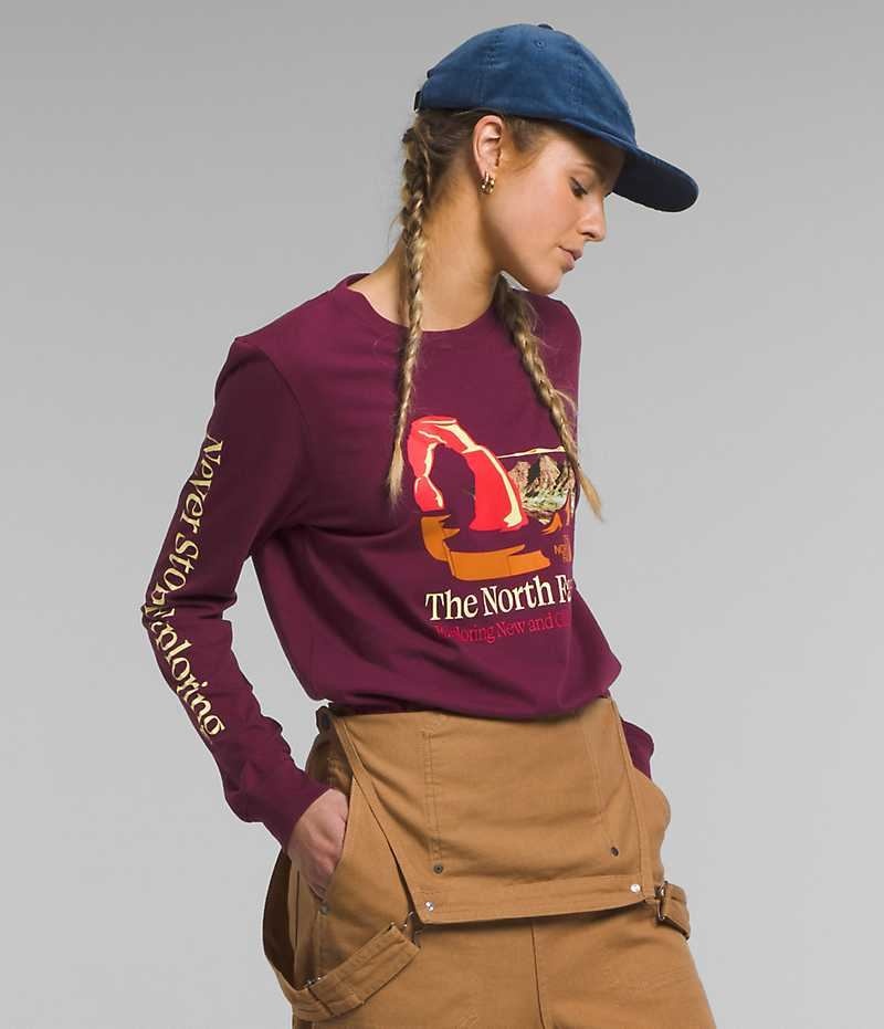 T-Shirt The North Face Long Sleeve Places We Love Femme Bordeaux | FRANCE NKMEX