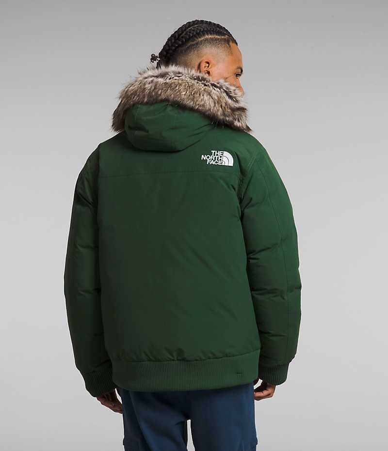 Veste Bomber The North Face McMurdo Homme Vert | FRANCE PAHSJ