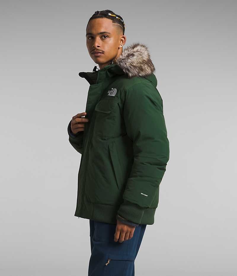 Veste Bomber The North Face McMurdo Homme Vert | FRANCE PAHSJ