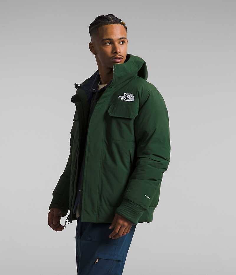 Veste Bomber The North Face McMurdo Homme Vert | FRANCE PAHSJ