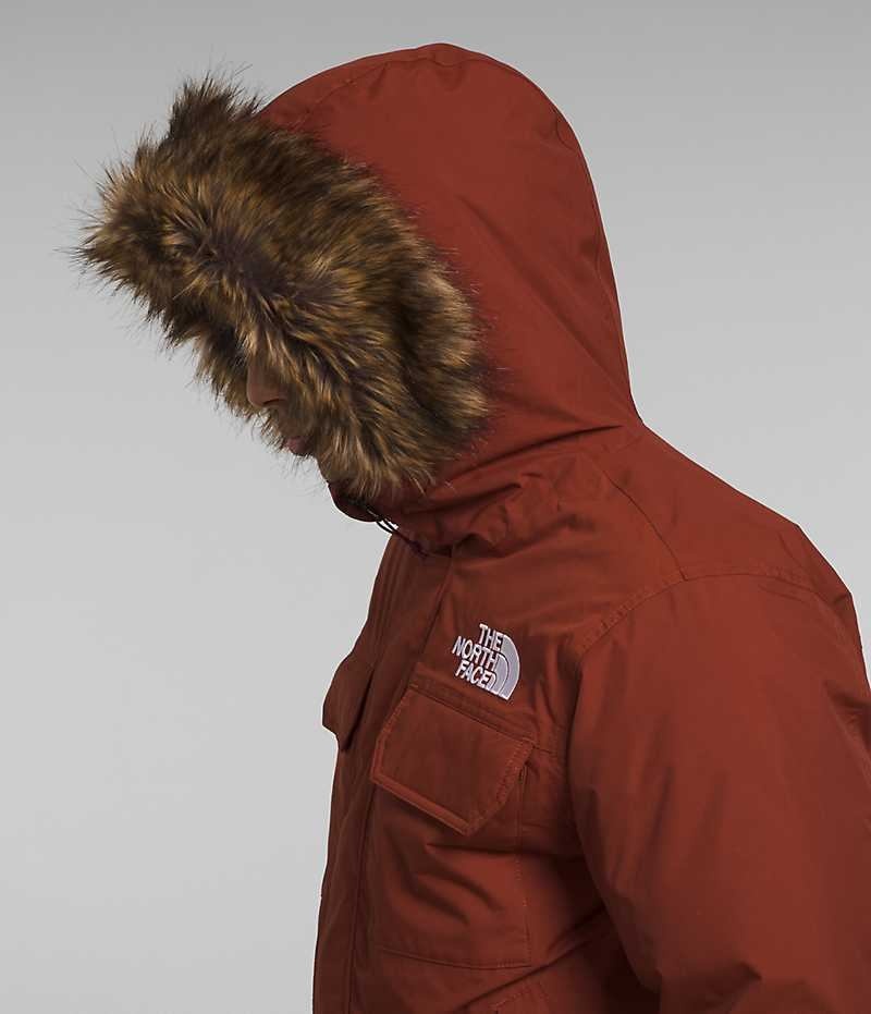 Veste Bomber The North Face McMurdo Homme Marron | PARIS CGNMW