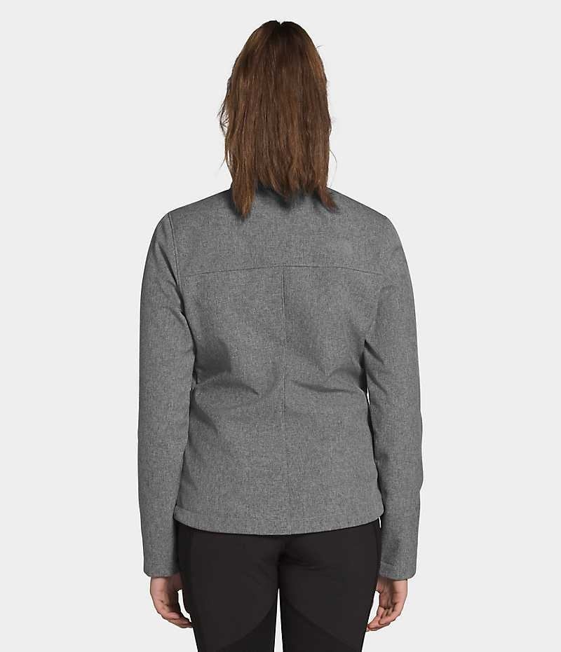 Veste Softshell The North Face Apex Bionic Femme Grise | FR QJNMB