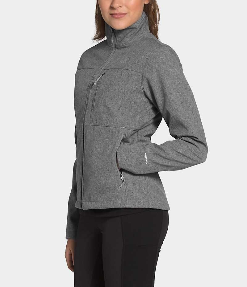 Veste Softshell The North Face Apex Bionic Femme Grise | FR QJNMB