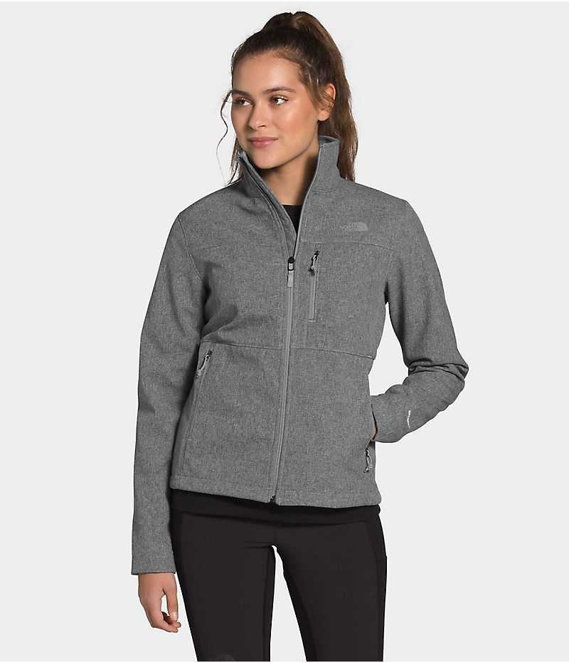 Veste Softshell The North Face Apex Bionic Femme Grise | FR QJNMB