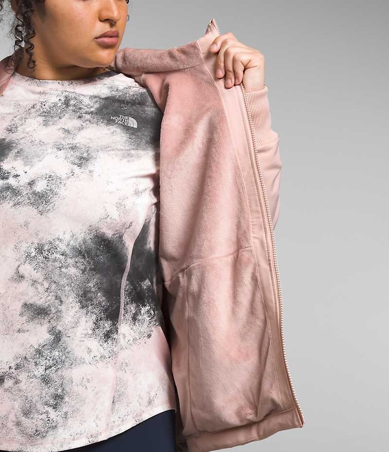 Veste Softshell The North Face Plus Shelbe Raschel Hoodie Femme Rose | PARIS GVIWC