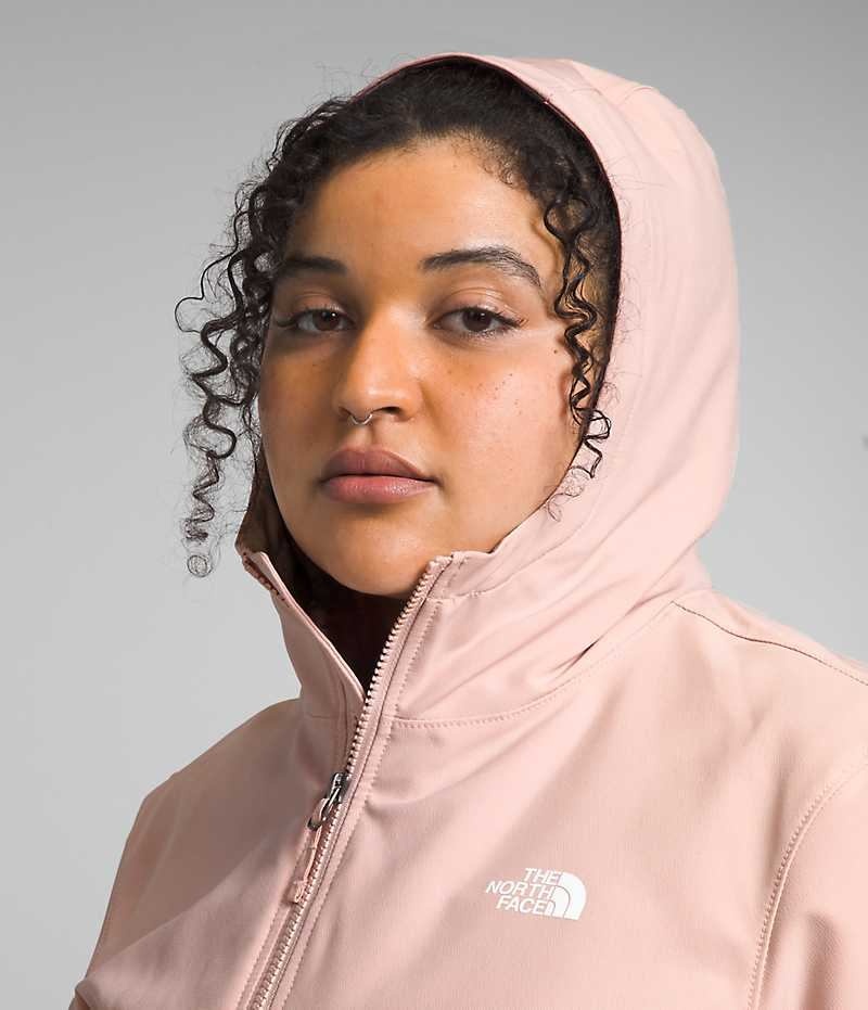 Veste Softshell The North Face Plus Shelbe Raschel Hoodie Femme Rose | PARIS GVIWC