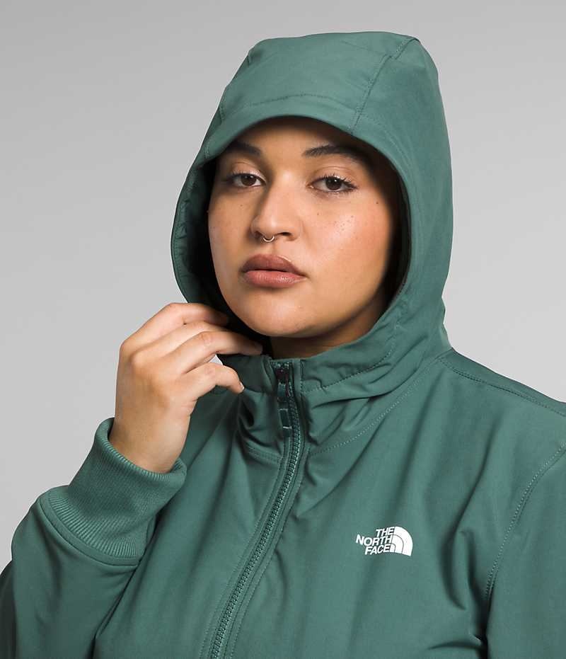 Veste Softshell The North Face Plus Shelbe Raschel Hoodie Femme Vert | PARIS LVGEB