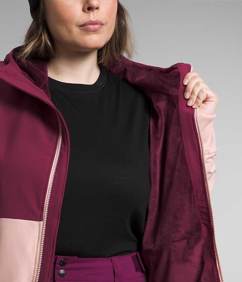 Veste Softshell The North Face Plus Shelbe Raschel Hoodie Femme Rose | FR YCIKT