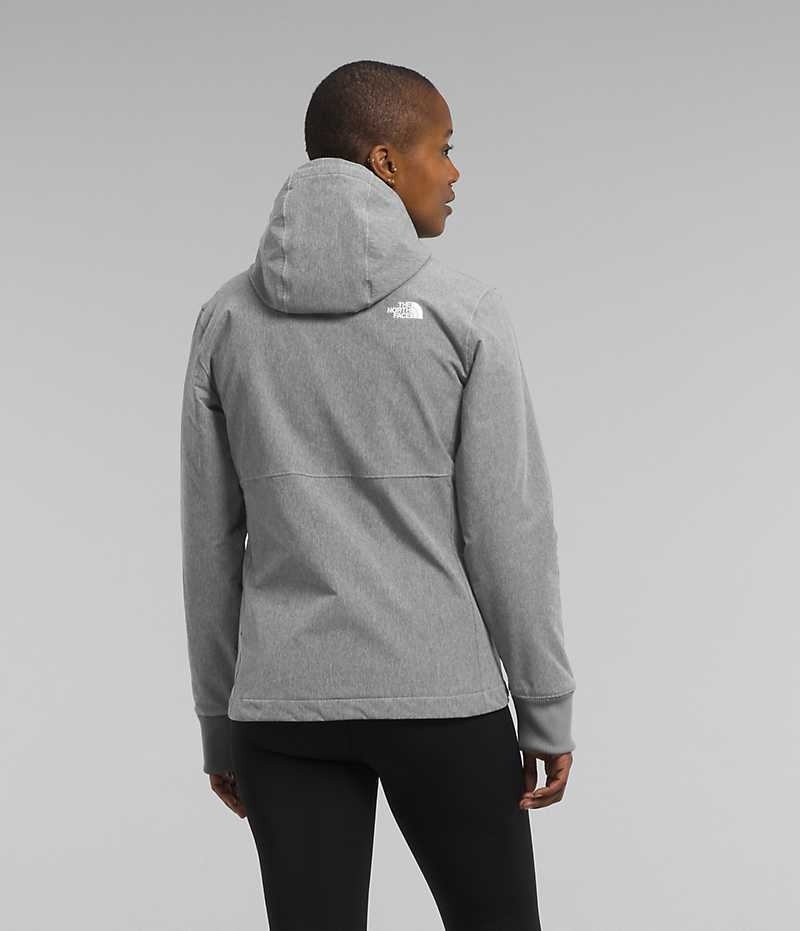 Veste Softshell The North Face Shelbe Raschel Hoodie Femme Grise | FRANCE HVEZB