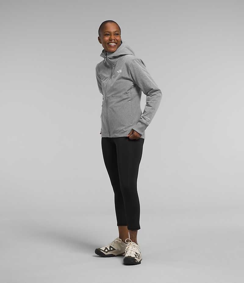 Veste Softshell The North Face Shelbe Raschel Hoodie Femme Grise | FRANCE HVEZB
