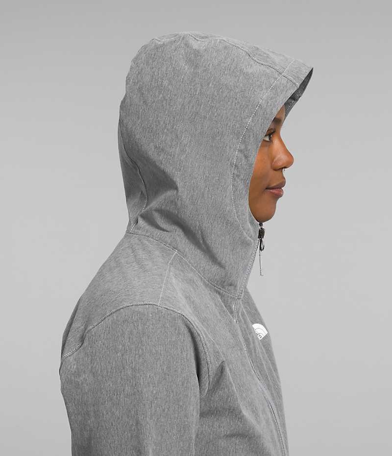 Veste Softshell The North Face Shelbe Raschel Hoodie Femme Grise | FRANCE HVEZB