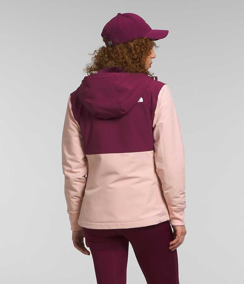 Veste Softshell The North Face Shelbe Raschel Hoodie Femme Rose | FR YEUVA