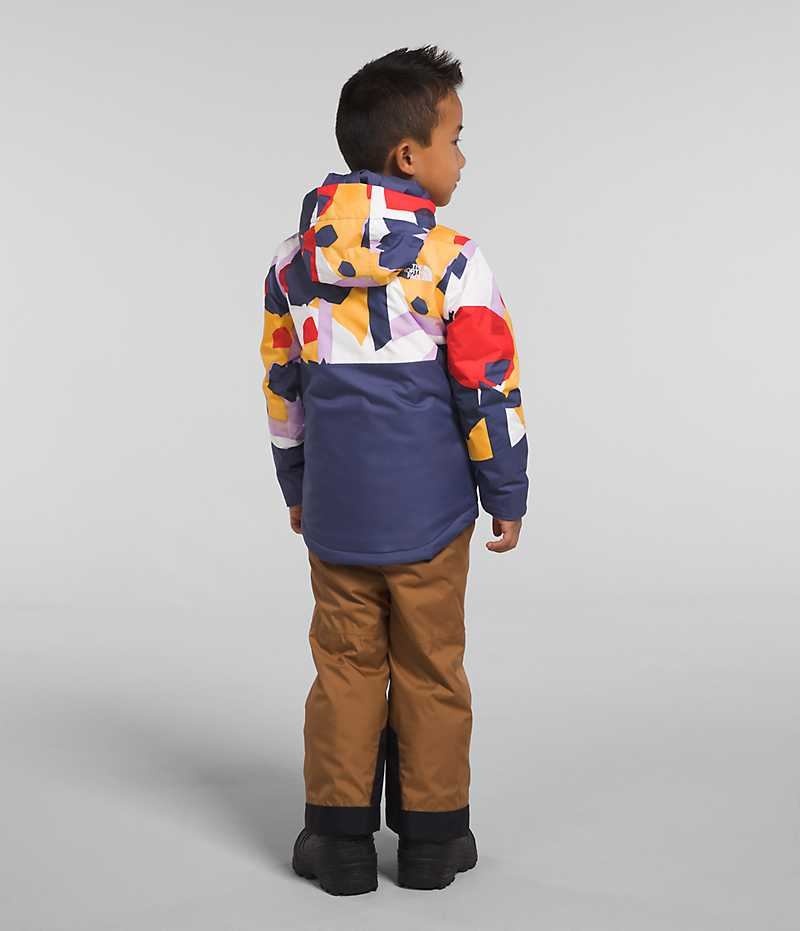 Vestes Isolées The North Face Freedom Garcon Multicolore | PARIS PFZSM