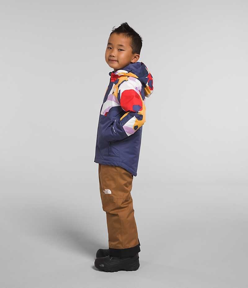Vestes Isolées The North Face Freedom Garcon Multicolore | PARIS PFZSM