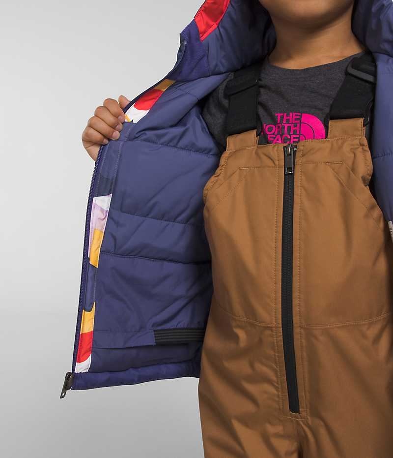 Vestes Isolées The North Face Freedom Garcon Multicolore | PARIS PFZSM