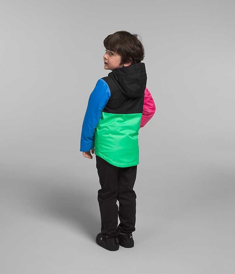 Vestes Isolées The North Face Freedom Garcon Multicolore | FRANCE JHFTN