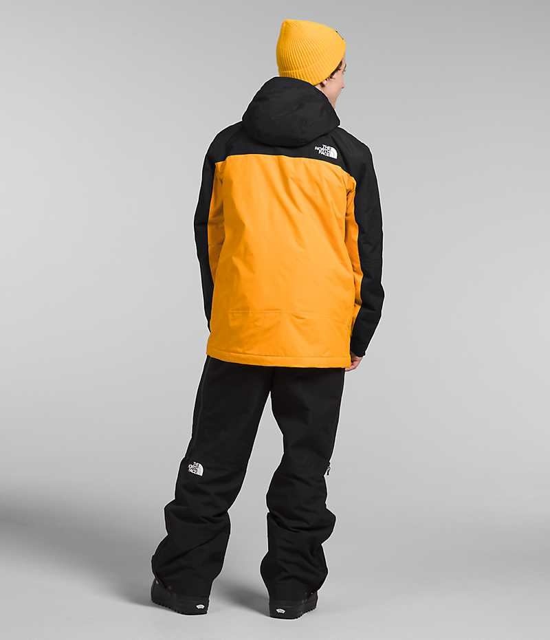 Vestes Isolées The North Face Freedom Homme Doré Noir | FR RNWMT