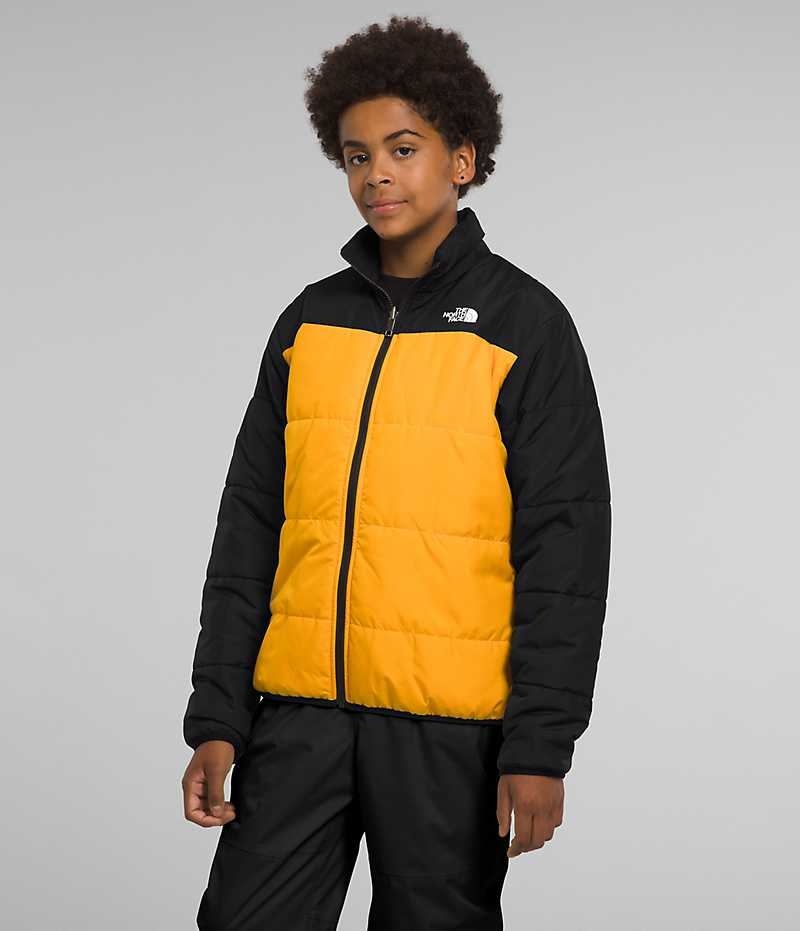 Vestes Isolées The North Face Freedom Triclimate® Garcon Noir | FRANCE VWODC