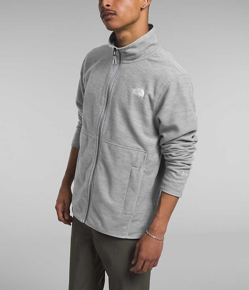 Vestes Polaires The North Face Alpine Polartec® 100 Homme Grise | FRANCE IPVOT