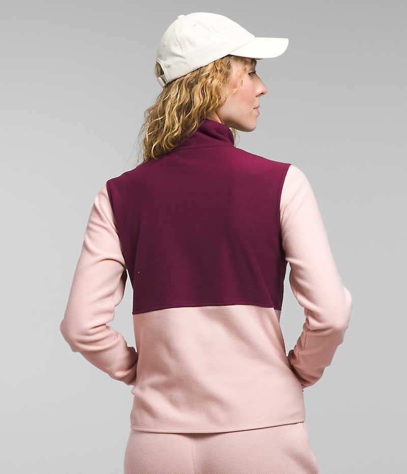 Vestes Polaires The North Face Alpine Polartec® 100 Femme Rose | FRANCE NABLY