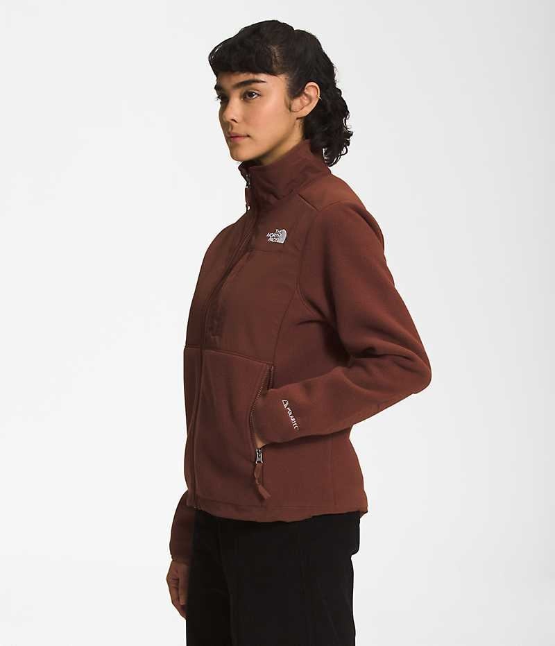 Vestes Polaires The North Face Denali Femme Marron | FRANCE MVFKH