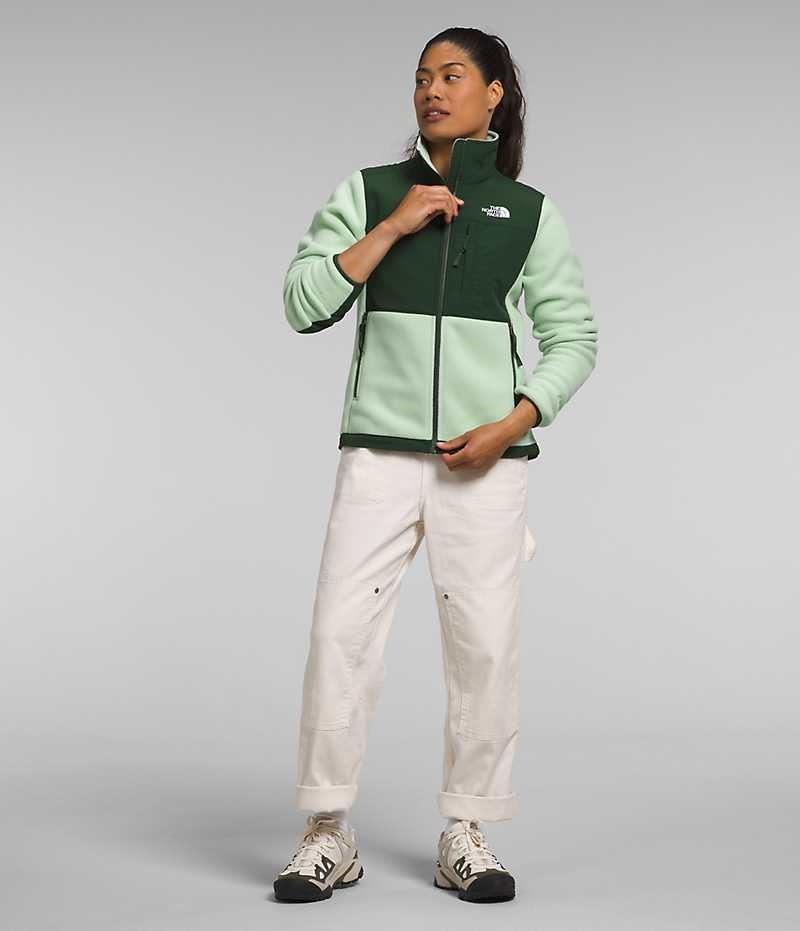 Vestes Polaires The North Face Denali Femme Vert | FR JQEXN