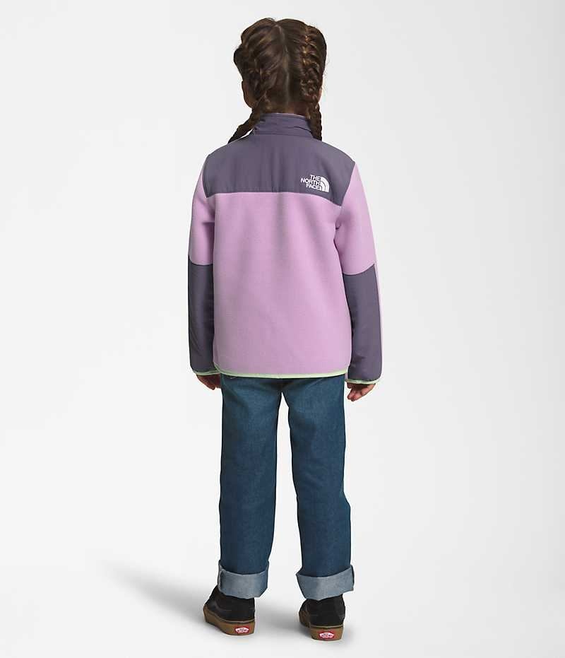 Vestes Polaires The North Face Denali Fille Lavande | PARIS ETCBS