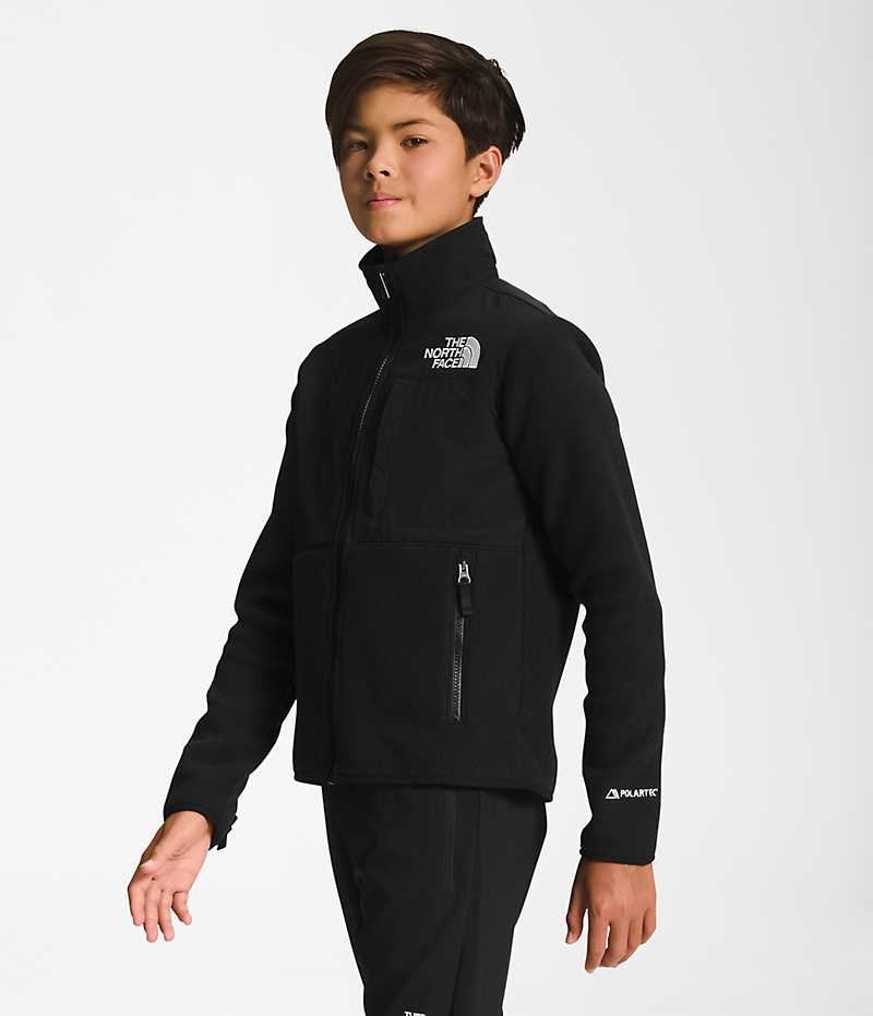 Vestes Polaires The North Face Denali Garcon Noir | FR EXTUZ
