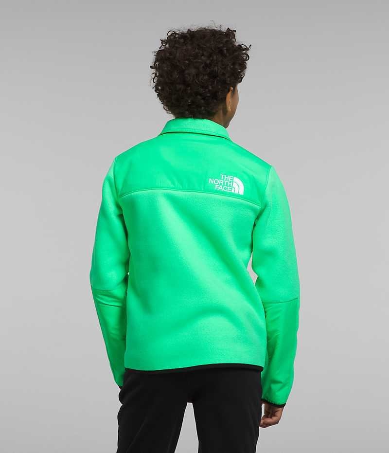 Vestes Polaires The North Face Denali Garcon Vert | PARIS UKXNB