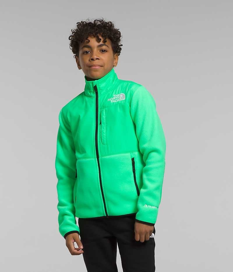 Vestes Polaires The North Face Denali Garcon Vert | PARIS UKXNB