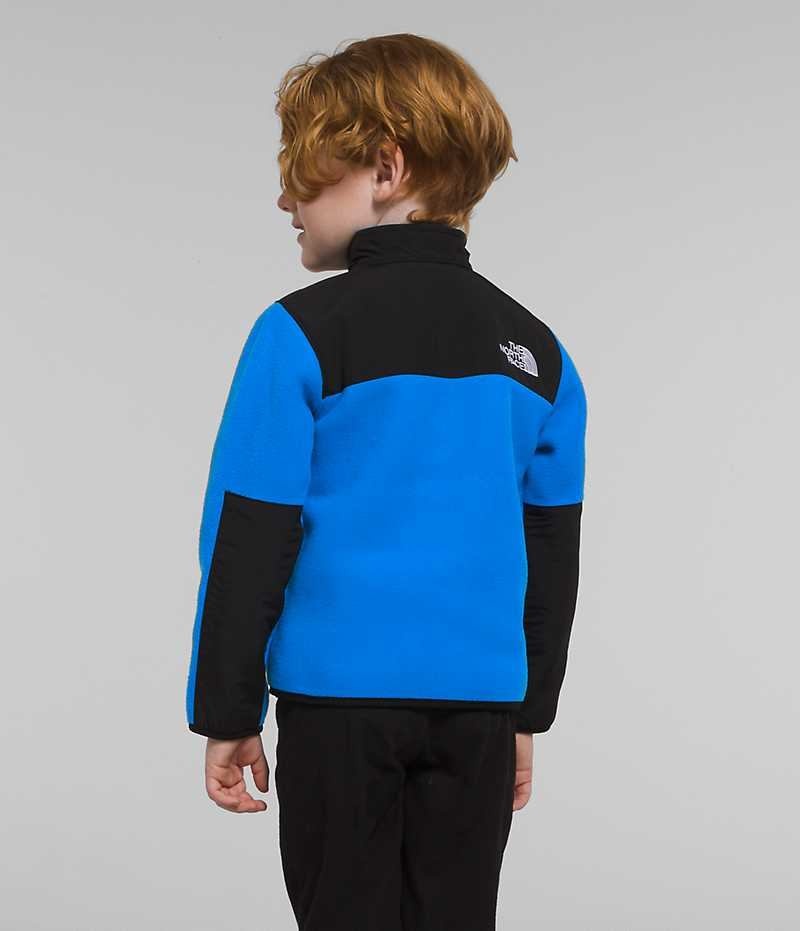 Vestes Polaires The North Face Denali Garcon Bleu | PARIS UWZBQ