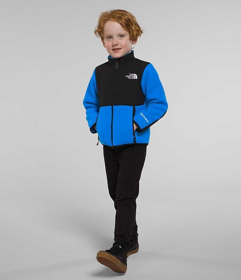 Vestes Polaires The North Face Denali Garcon Bleu | PARIS UWZBQ