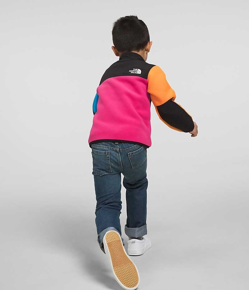 Vestes Polaires The North Face Denali Garcon Multicolore | FR VNPHT