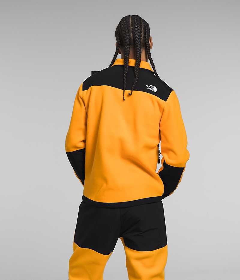 Vestes Polaires The North Face Denali Homme Doré Noir | FRANCE OWNEZ