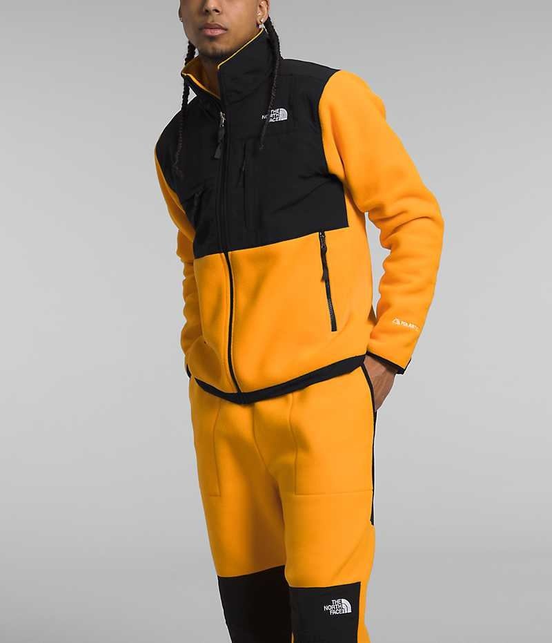 Vestes Polaires The North Face Denali Homme Doré Noir | FRANCE OWNEZ